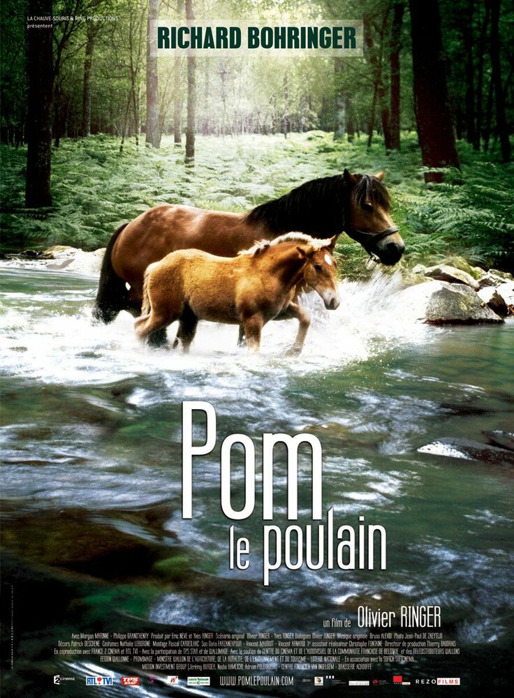 Pom, le poulain (2006)