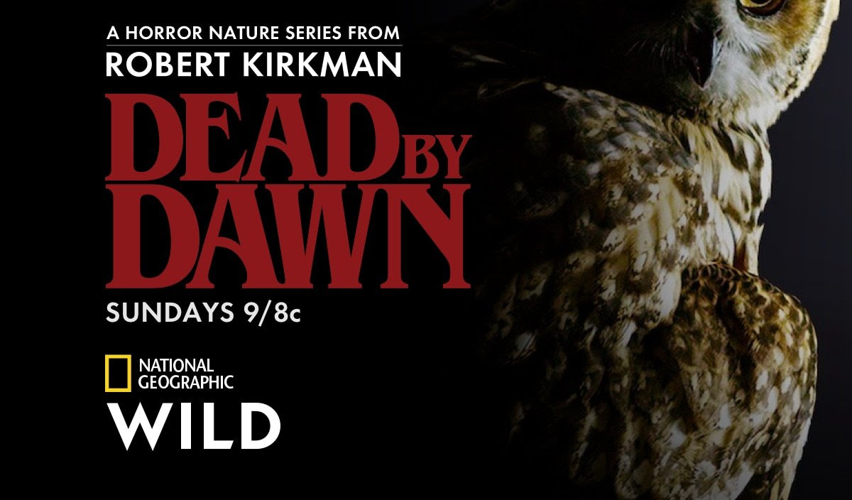 Dead by Dawn (2019)